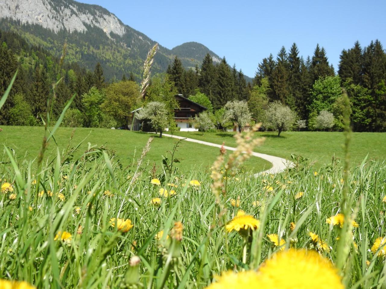 Bauernhof Hintenberg Itter Eksteriør bilde
