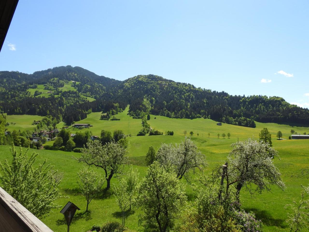 Bauernhof Hintenberg Itter Eksteriør bilde